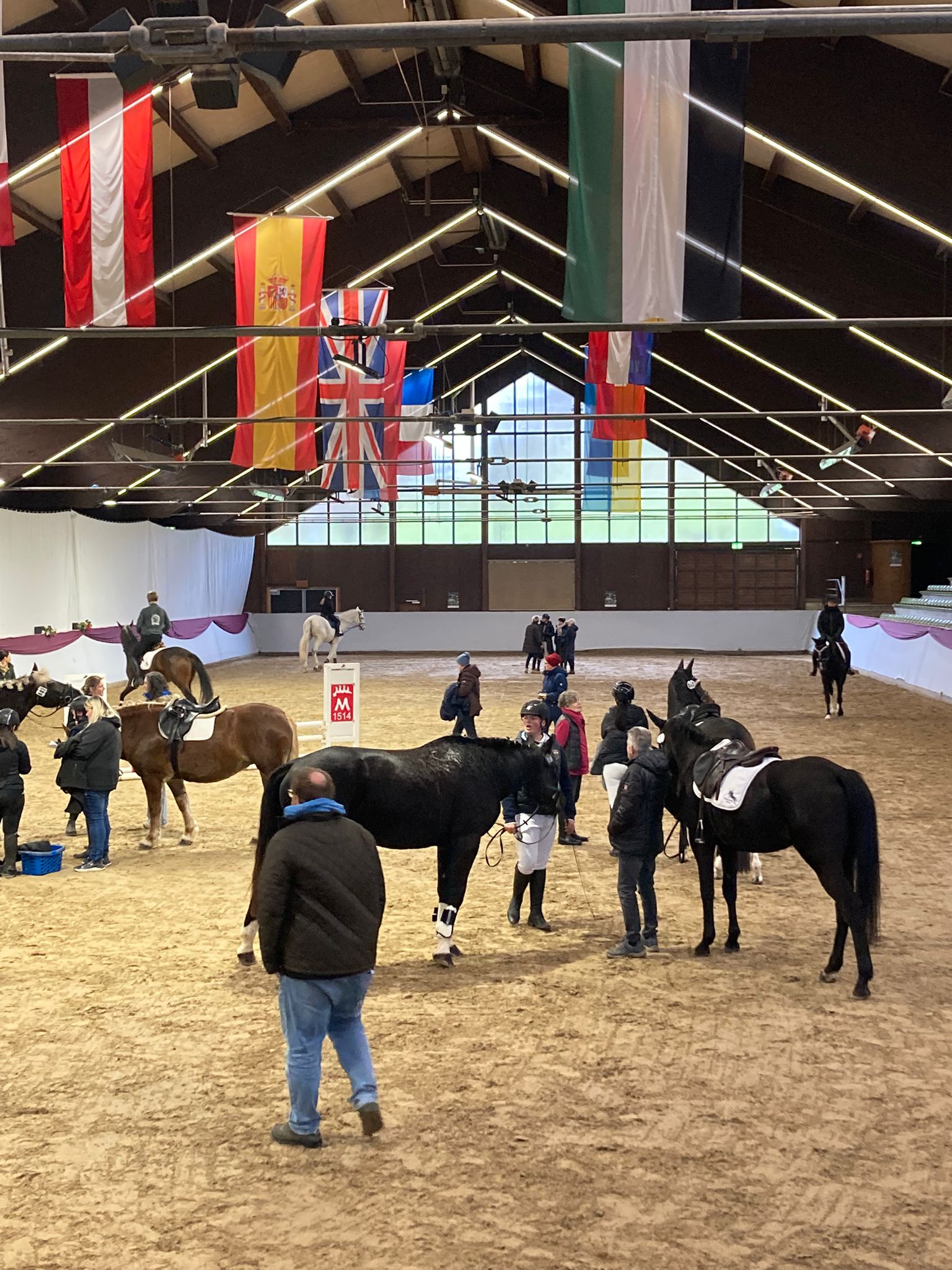 Schulpferdecasting 112025 1