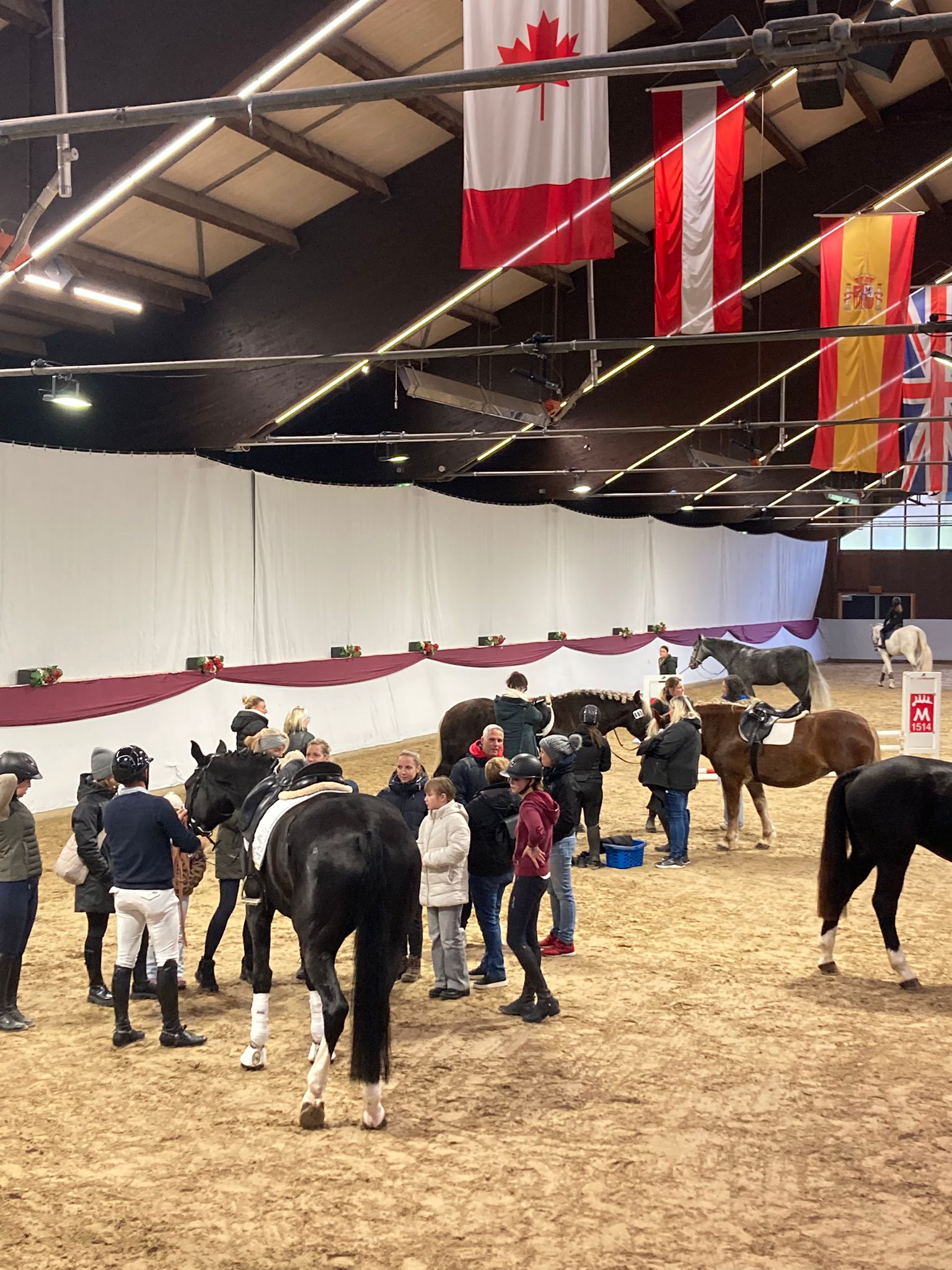 Schulpferdecasting 112025 2